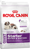 Royal Canin Giant Starter (Джайнт стартер) Для щенков в период отъема до 2-месячного возраста.  Для сук в последней трети беременности и во время лактации. 